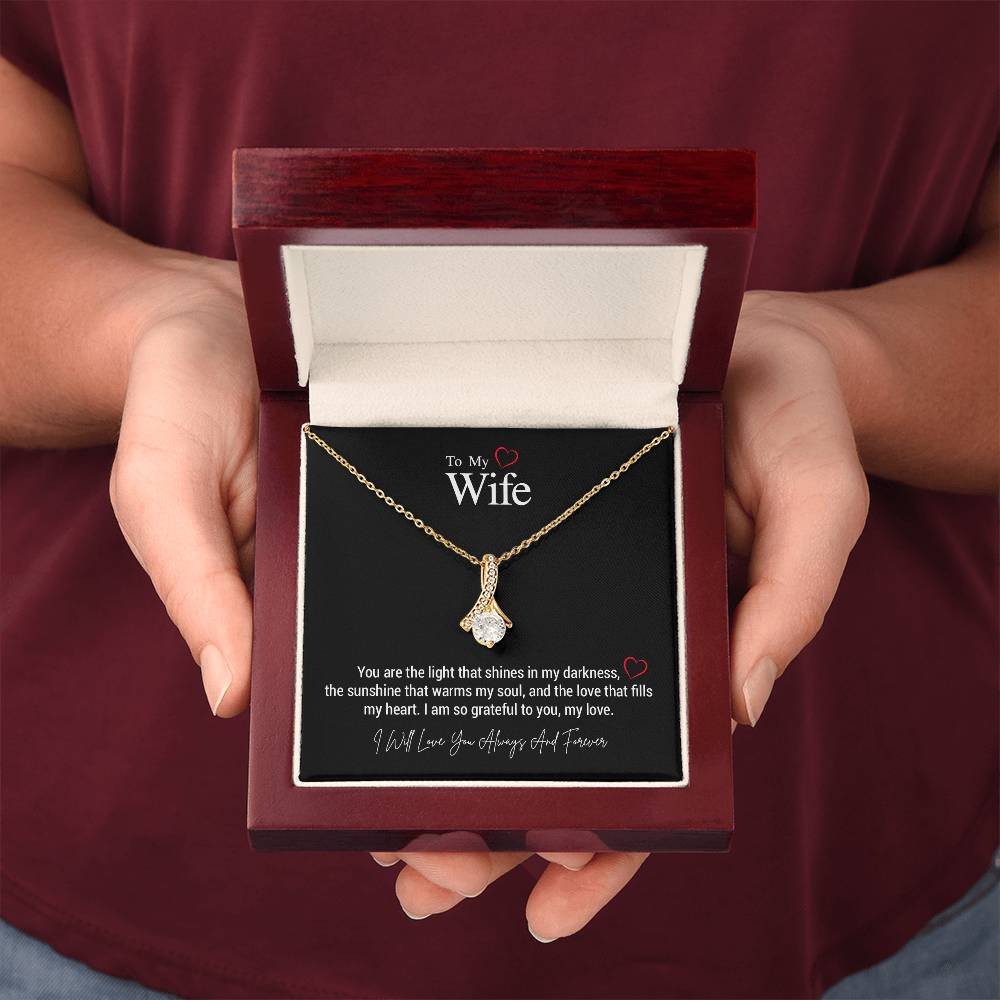 To My Wife..You are the light that shines in my darkness, the sunshine that warms my soul, and the love that fills my heart. I am so grateful to you, my love. ShineOn Fulfillment