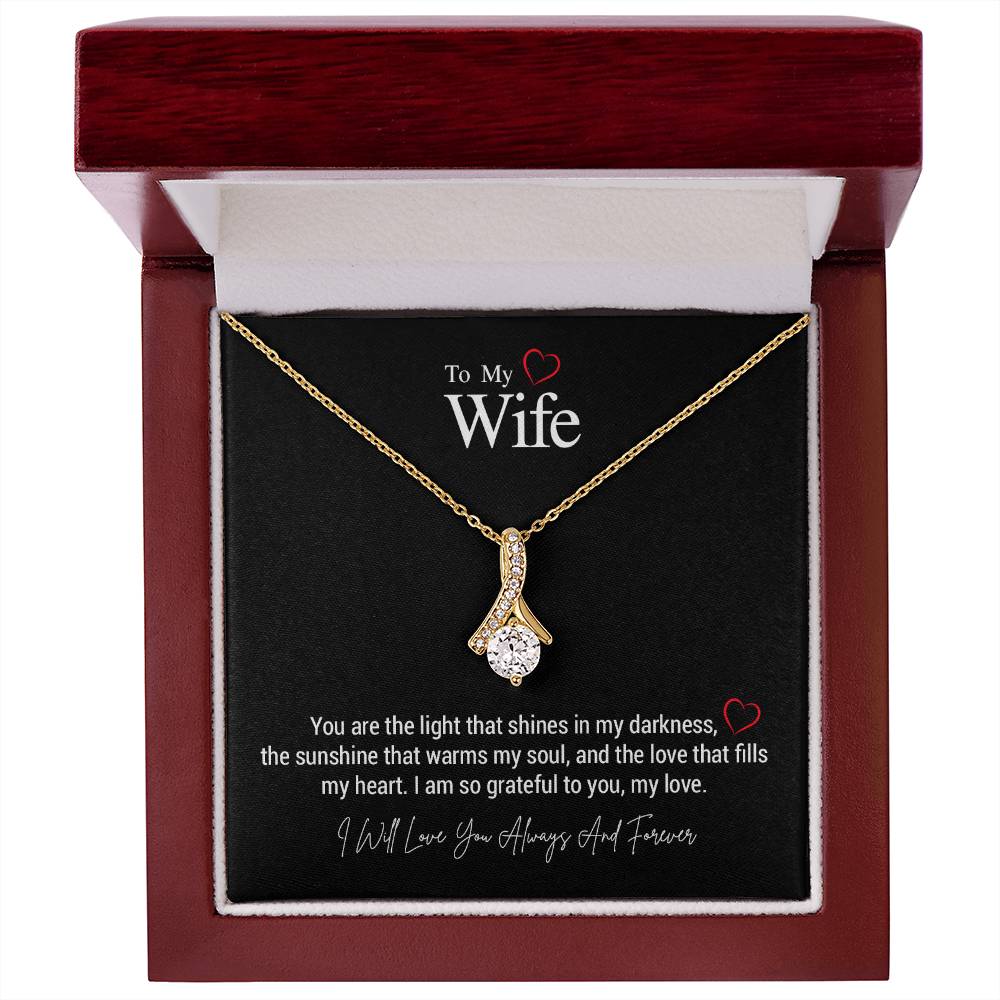 To My Wife..You are the light that shines in my darkness, the sunshine that warms my soul, and the love that fills my heart. I am so grateful to you, my love. ShineOn Fulfillment